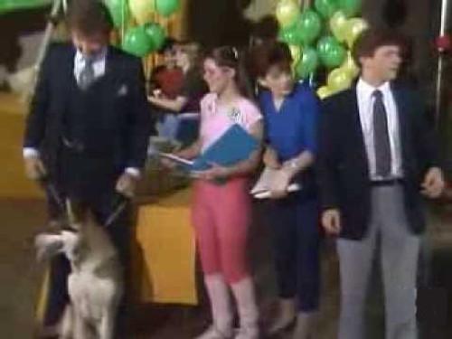 The Littlest Hobo Season 5 Episode 2 - Scavenger Hunt (1)