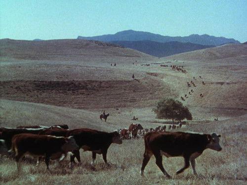 The Virginian Season 4 Episode 21 - Morgan Starr