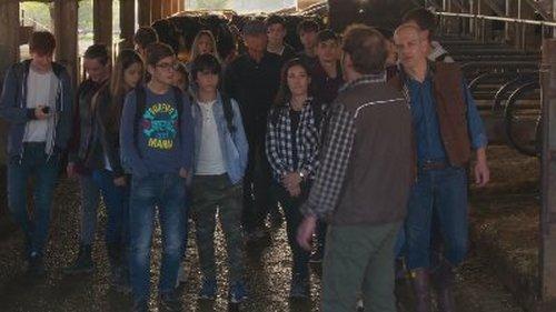 Father Matteo Season 11 Episode 14 - A Normal Family