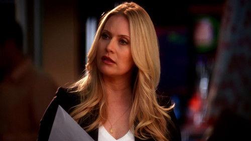 CSI: Miami Season 8 Episode 24 - All Fall Down