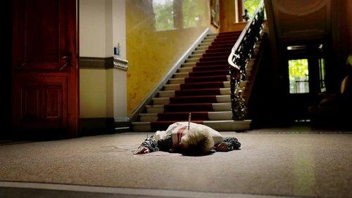 Der letzte Bulle Season 6 Episode 6 - Hair Splitting