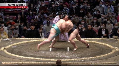 GRAND SUMO Highlights Season 11 Episode 2 - Day 2