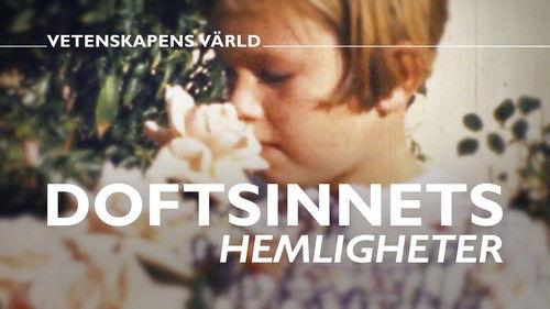 Vetenskapens värld Season 50 Episode 16 - Episode 16