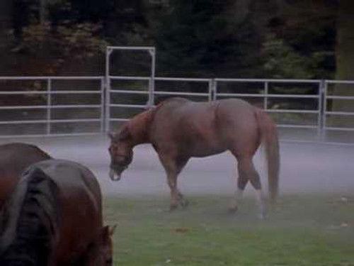 The Net Season 1 Episode 21 - Chem Club