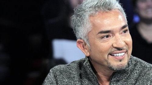 Tout le monde en parle Season 9 Episode 3 - Episode 3