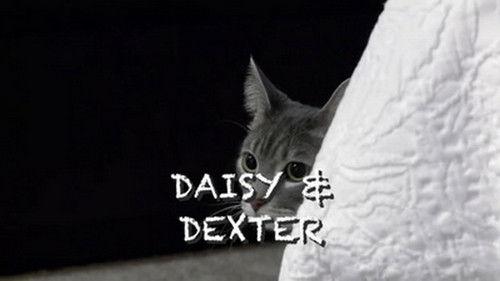 My Cat from Hell Season 5 Episode 4 - Stalking Miss Daisy