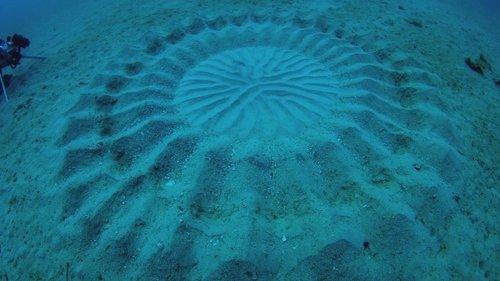 The Proof Is Out There Season 5 Episode 2 - Infrared UFO Attack, Human Bear, & Underwater Crop Circles