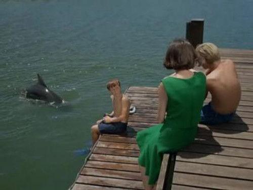 Flipper Season 1 Episode 12 - Lady and the Dolphin (1)