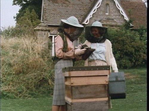 To the Manor Born Season 3 Episode 3 - Horse vs Cars