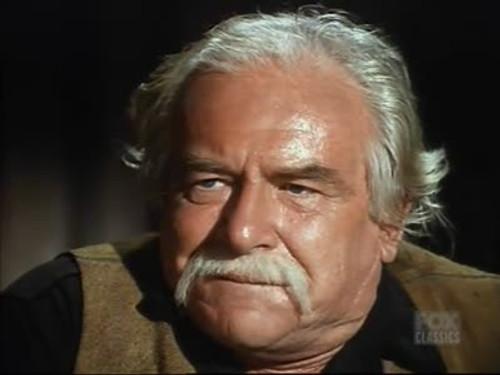 Bonanza Season 12 Episode 9 - The Love Child