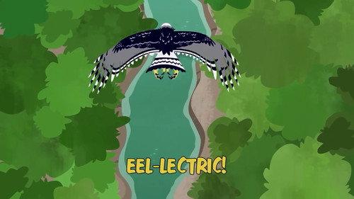 Wild Kratts Season 4 Episode 18 - Eel-lectric!