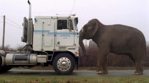 The X-Files Season 2 Episode 18 - Fearful Symmetry