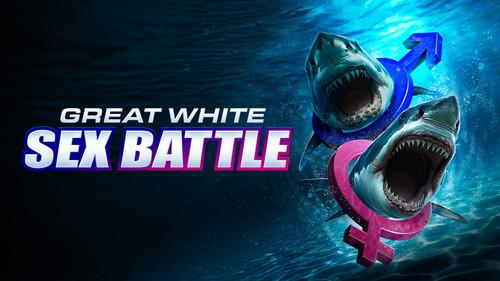 Shark Week Season 38 Episode 4 - Great White Sex Battle