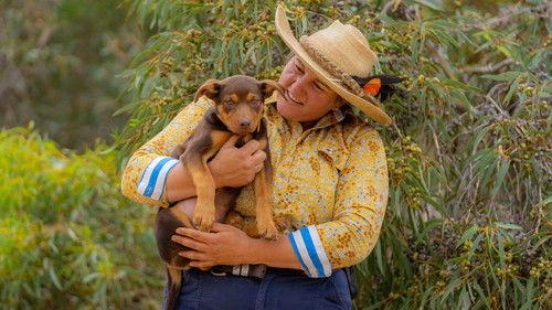 Muster Dogs Season 3 Episode 1 - Episode 1