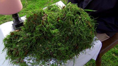 Through the Wormhole Season 3 Episode 1 - Will We Survive First Contact?