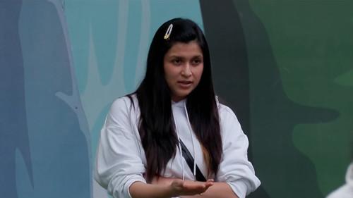 Bigg Boss Season 17 Episode 45 - Neil Nominated For Full Season?