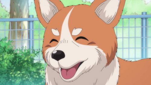 Oda Cinnamon Nobunaga Season 1 Episode 12 - Puppies of War