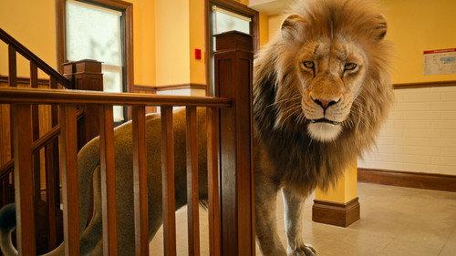 Jane Season 2 Episode 5 - Panthera leo