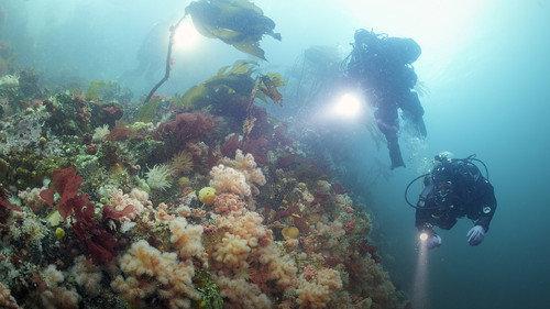 Descending Season 1 Episode 4 - The Emerald Sea