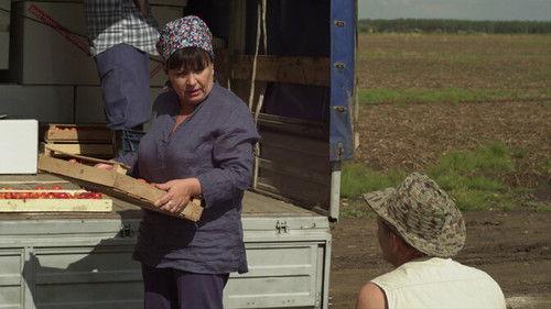 The In-Laws Season 5 Episode 13 - Episode 13