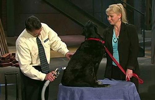 Dragons' Den Season 2 Episode 4 - Episode 4