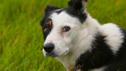 Countryfile Season 35 Episode 10 - High Weald