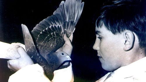 Timeshift Season 16 Episode 5 - Flights of Fancy: Pigeons and the British