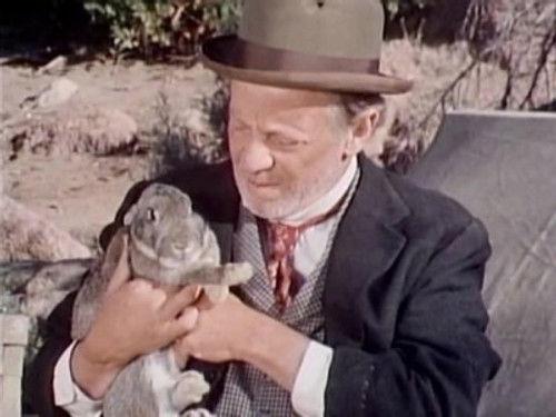 Grizzly Adams Season 1 Episode 7 - The Redemption of Ben