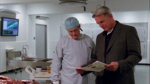 NCIS Season 6 Episode 18 - Knockout