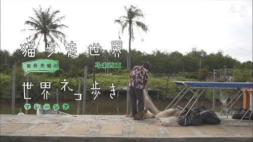 Mitsuaki Iwago's World “Cats” Travelogue Season 1 Episode 25 - Malaysia