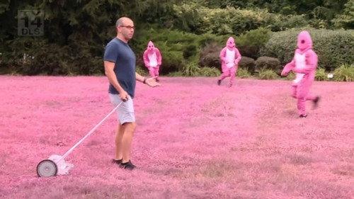 Impractical Jokers Season 9 Episode 7 - Pity in Pink