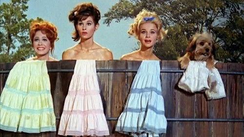 Petticoat Junction Season 3 Episode 1 - Dear Minerva