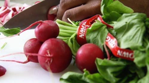 Wisconsin Foodie Season 8 Episode 3 - MPS ProStart | Turtle Creek Gardens