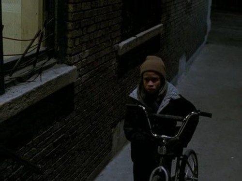 Law & Order Season 1 Episode 17 - Mushrooms