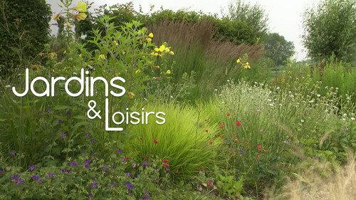 Jardins & Loisirs Season 25 Episode 6 - Episode 6