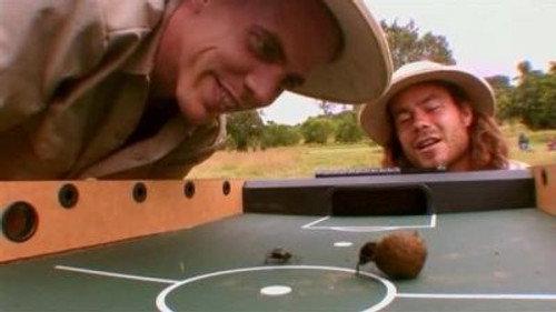 Wildboyz Season 2 Episode 3 - Kenya