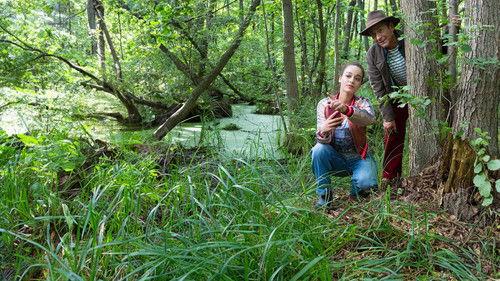 Löwenzahn Season 45 Episode 1 - Episode 1