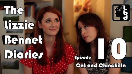 The Lizzie Bennet Diaries Season 1 Episode 10 - Cats and Chinchillas