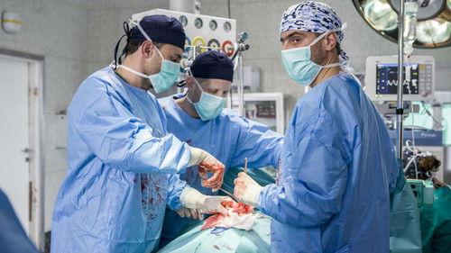 Echo serca Season 1 Episode 5 - Episode 5