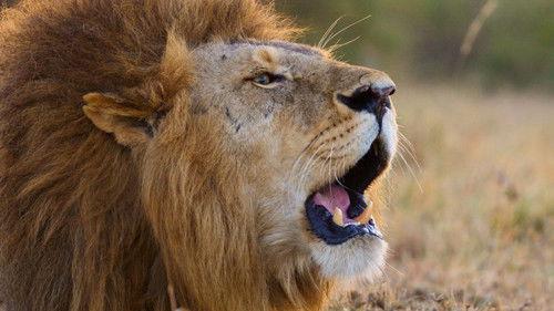 Earthsounds Season 1 Episode 5 - African Plains