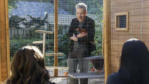 CSI: Vegas Season 3 Episode 6 - Atomic City