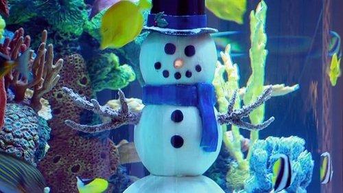 Tanked Season 3 Episode 23 - Tanked for the Holidays