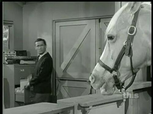 Mister Ed Season 5 Episode 5 - The Heavy Rider
