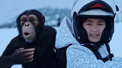 Jane Season 1 Episode 1 - Ursus maritimus