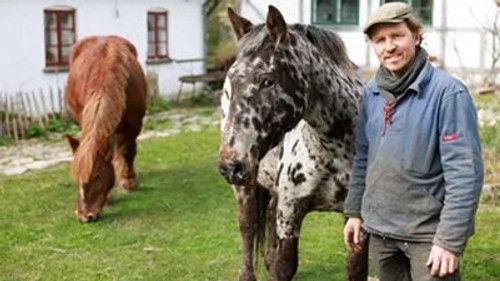 Frank & Kastaniegaarden Season 30 Episode 7 - Episode 7