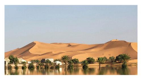 Mapping the World Season 29 Episode 19 - Western Sahara - A frozen conflict?