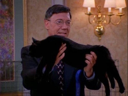 undefined Season 1 Episode 19 - Cat Showdown