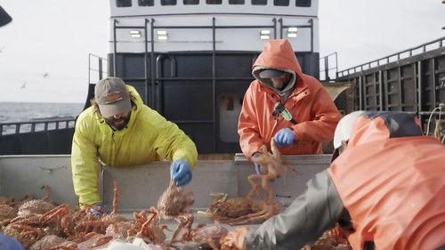 Deadliest Catch Season 19 Episode 8 - Anchor Management