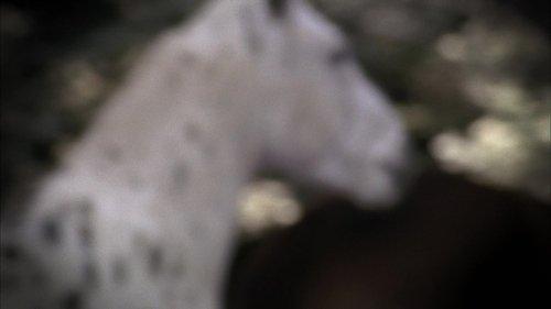 Heartland Season 5 Episode 13 - Aftermath