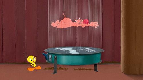 Looney Tunes Cartoons Season 2 Episode 18 - Circular Fan